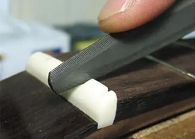 Nut / Saddle