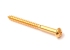 Bass Pickup Mounting Screw • Gold