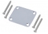 4 Hole Neckplate w/Screws • Chrome