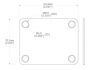 4 Hole Neckplate w/Screws • Nickel